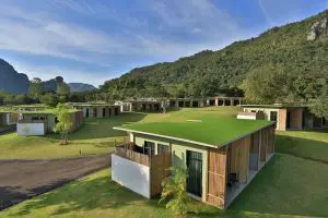 เคิร์ฟ 360 โฮเทล เขาใหญ่ / Curve360 Hotel Khao Yai