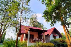 ริเวอร์แคว ปาร์ค แอนด์ รีสอร์ท กาญจนบุรี / Riverkwai Park & Resort Kanchanaburi