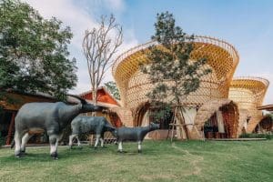 รีคอล อีส้าน อีสาน คอนเซ็ปท์ แอท เขาใหญ่ / Recall Isaan Isan Concept at Khaoyai