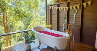 แม่กำปองฮิลล์ เชียงใหม่ / Mae Kampong Hill Chiangmai