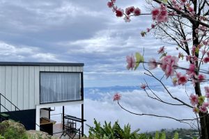 เดอะ เบส วิว ภูทับเบิก รีสอร์ต / The Best View Phu Thap Boek