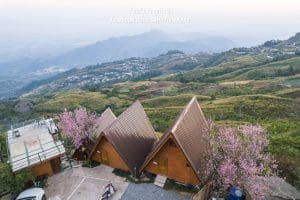 บ้านทิวเขา ภูทับเบิก / Bann Tiew Khao Phu Thap Boek