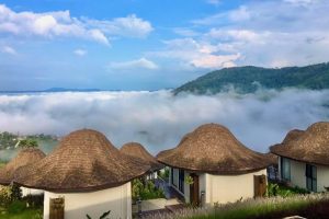 แอททรี รีสอร์ท เขาค้อ / At Tree Resort Khaokho