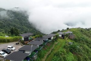 ธารหมอก ภูทับเบิก / Thanmhog Phu Thap Boek