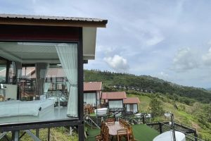ดาวพันแสง ภูทับเบิก / Daopansaeng Phu Thap Boek