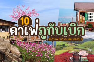 10 คาเฟ่ภูทับเบิก 2025/2568 จิบกาแฟ ชมวิวทะเลหมอกฟิน ๆ