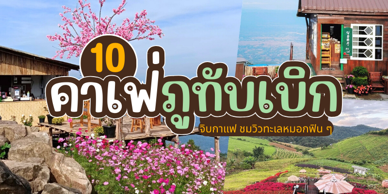 10 คาเฟ่ภูทับเบิก 2026/2569 จิบกาแฟ ชมวิวทะเลหมอกฟิน ๆ