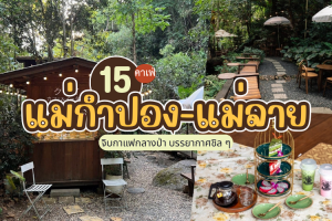 15 คาเฟ่แม่กำปอง-แม่ลาย 2025/2568 จิบกาแฟกลางป่า บรรยากาศชิล ๆ
