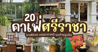 20 คาเฟ่ศรีราชา 2025/2568 คาเฟ่สวย บรรยากาศดี มุมถ่ายรูปปัง