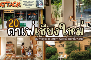20 คาเฟ่เชียงใหม่ 2025/2568 มุมถ่ายรูปสวย สายคาเฟ่ฮอปปิ้งต้องไม่พลาด!