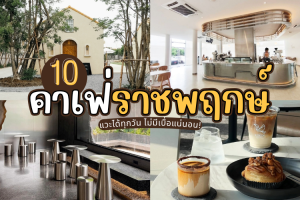 10 คาเฟ่ราชพฤกษ์ 2025/2568 แวะได้ทุกวัน ไม่มีเบื่อแน่นอน!