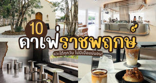 10 คาเฟ่ราชพฤกษ์ 2025/2568 แวะได้ทุกวัน ไม่มีเบื่อแน่นอน!