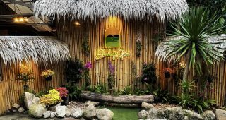 เฉด ออฟ กรีน รีสอร์ท / Shade of Green Resort