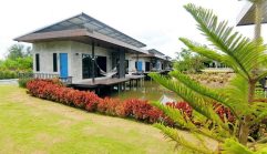 ไวท์น็อต เขาใหญ่ / White Knot Khao Yai