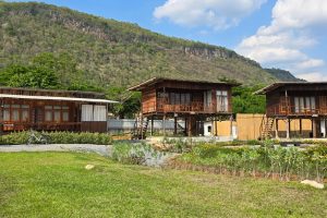 ยามเมื่อลมพัดหวน เขาใหญ่ / When the Wind Blows KhaoYai