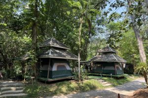 ภูธารา แกลมป์ปิ้ง สระบุรี / Phutara Glamping Saraburi