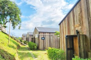 เชียงดาว เมาท์เทนวิว / Chiangdao Mountain View