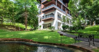 โรงแรมเรนทรี เขาใหญ่ / Rain Tree Khao Yai Hotel