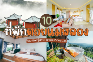 10 ที่พักดอยแม่สลอง เชียงราย 2025/2568 หลบเมืองวุ่นวาย มานอนดอยสุดชิล