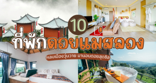 10 ที่พักดอยแม่สลอง เชียงราย 2025/2568 หลบเมืองวุ่นวาย มานอนดอยสุดชิล