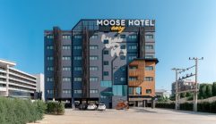 มูส อีซี่ โฮเทล เชียงใหม่ / Moose Easy Hotel Chiang Mai