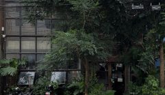สุเนต์ตา โฮสเทล เชียงใหม่ / Suneta Hostel Chiang Mai